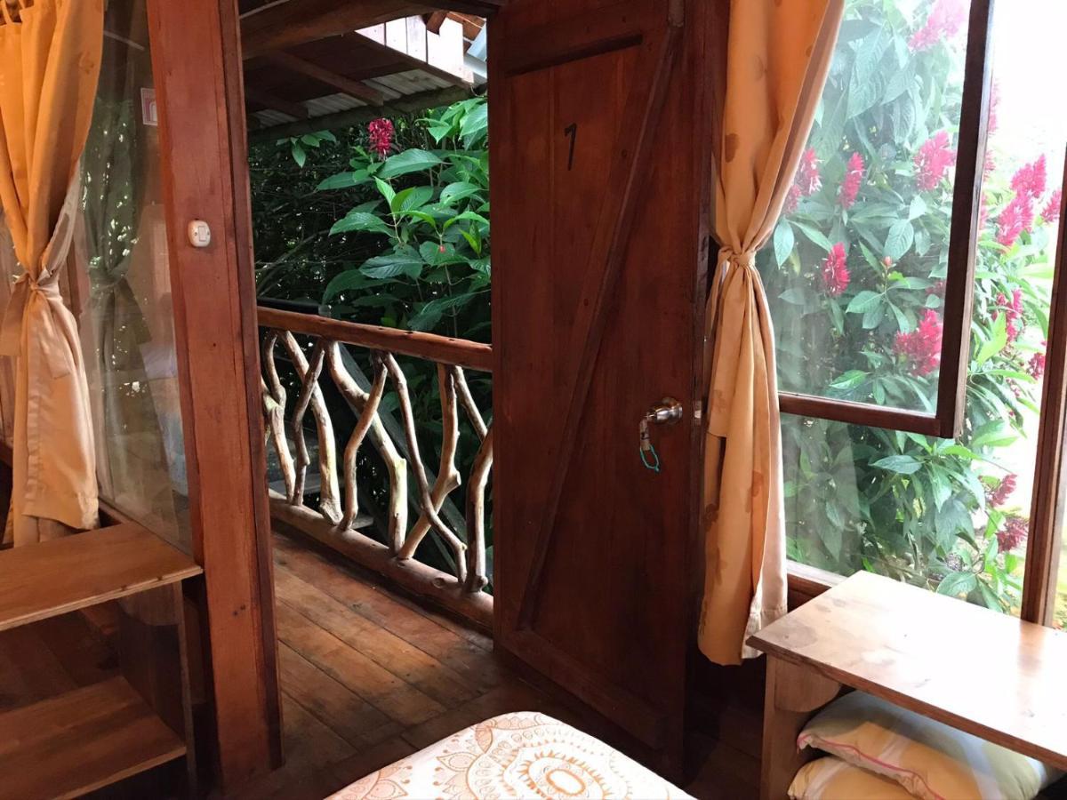 Hosteria Los Cedros De Миндо Экстерьер фото