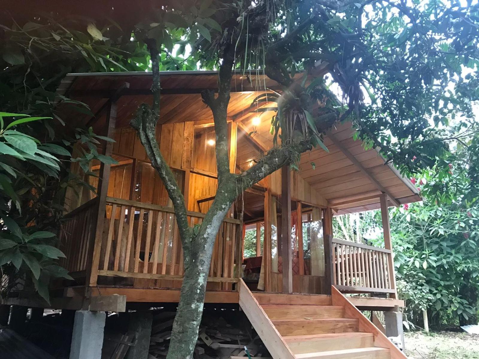 Hosteria Los Cedros De Миндо Экстерьер фото