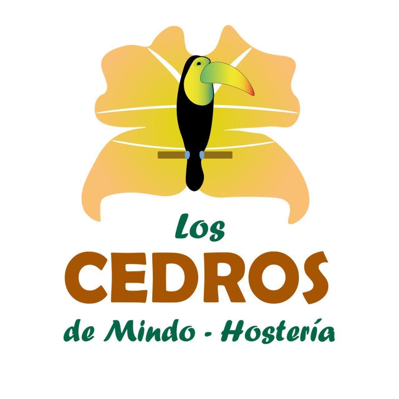 Hosteria Los Cedros De Миндо Экстерьер фото